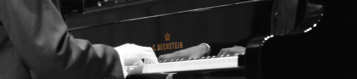 ベヒシュタイン,bechstein,グランドピアノ,アップライトピアノ,新品,中古,価格,展示,在庫,試弾,試奏,販売,ベヒシュタインピアノ,ベヒシュタイングランドピアノ,ベヒシュタインアップライトピアノ,コンサート8,エレガンス,コンツール