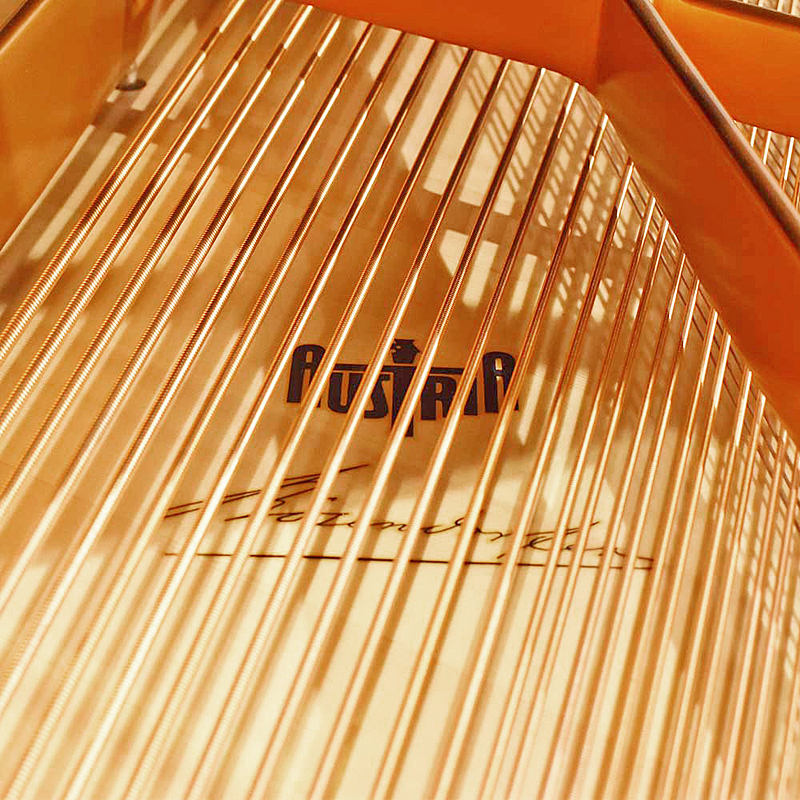 ベーゼンドルファー225|bosendorfer225|中古|価格|展示|販売|購入|ベーゼンドルファーグランドピアノ