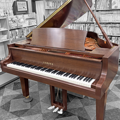 新品ヤマハグランドピアノC2X木目ウォルナット半艶仕上げ（ヤマハ掛川工場製）展示中,ヤマハ特約店真和楽器,愛知県犬山市名古屋市岐阜県