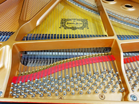 c3lsn_6109388_7_m.jpg