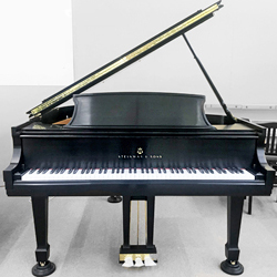 スタインウェイ,ニューヨークスタインウェイ,m型,m170,スタインウェイm,スタインウェイ,m中古,価格,展示,販売,試弾,試奏