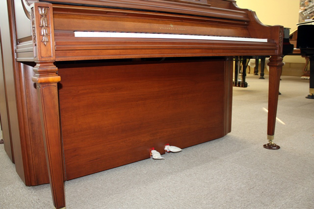 スタインウェイ,木目,アップライト,中古,価格,展示,試弾,販売,steinway