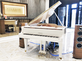 takeuchi_piano_1.jpg