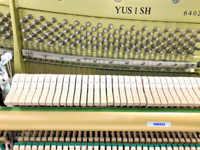 yus1sh_6402370_4_m.jpg